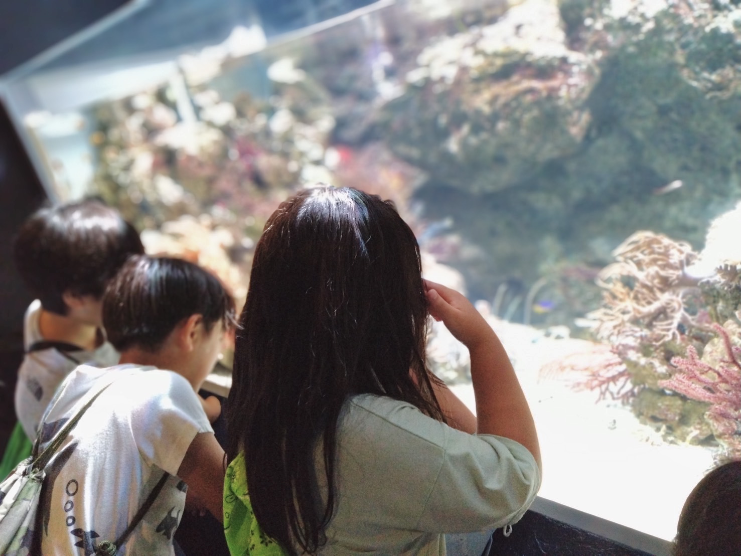 水族館のイメージ